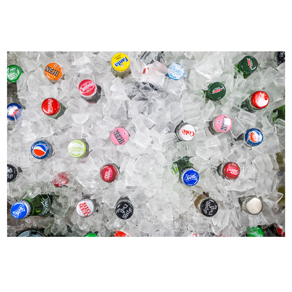 Kate Medley Ice Chest